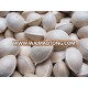 ginkgo nuts in shell for sale